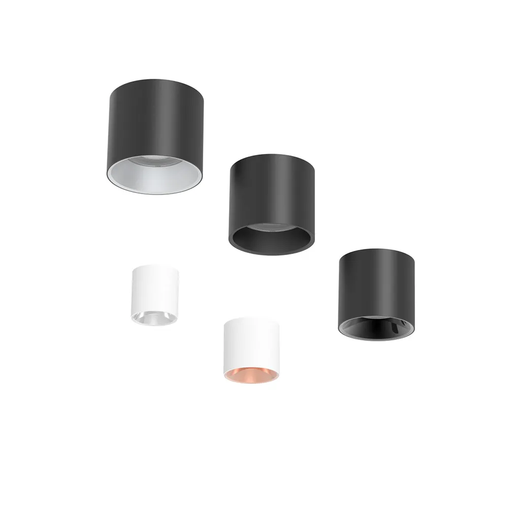 surface mounted downlight